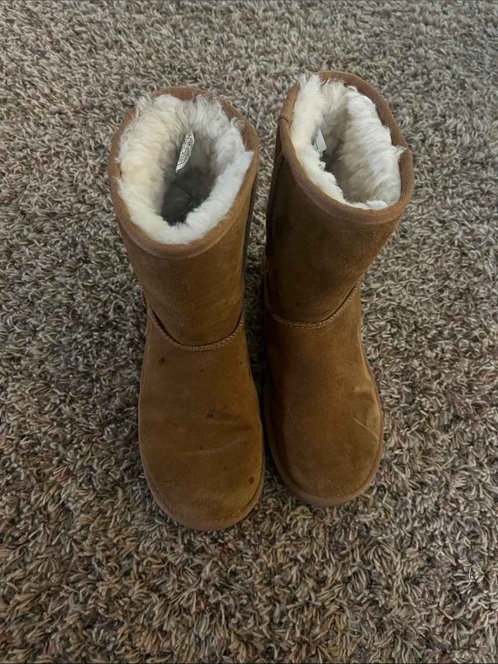 UGG Classic Koolaburra Chestnut Shearling-Lined W 8 Boots